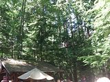 42 - Grouse Mountain - IMGA0214